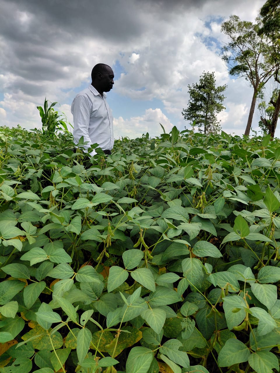 Agriculture and Food Security