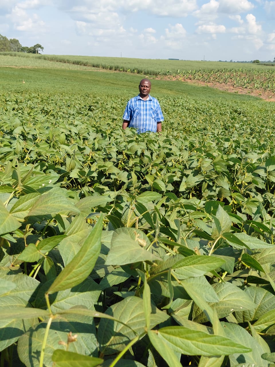 Farmer support visit